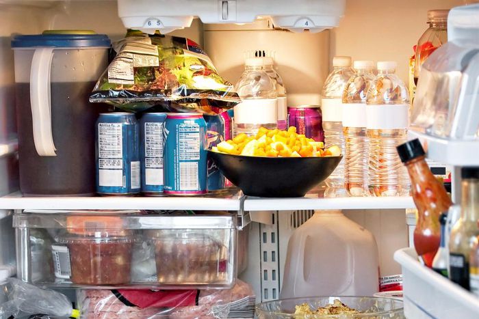 full fridge inside fridge