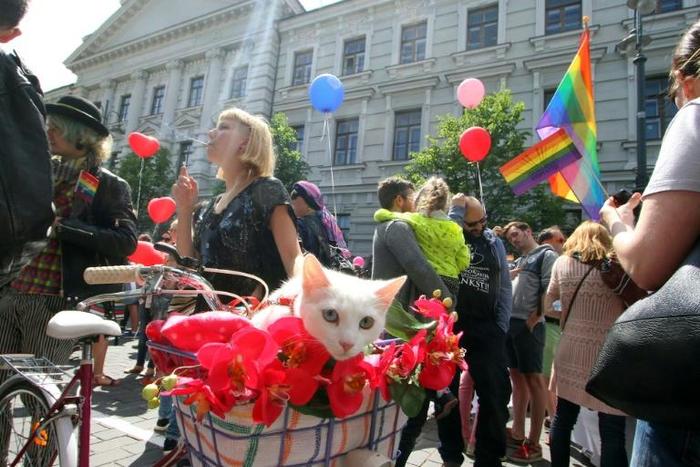 LGBT rights demonstrators gather in 2016, in Vilnius