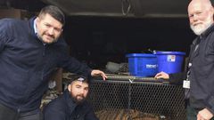 Tiger Found in Abandoned House by Person Who Just Wanted to Smoke Pot