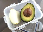 Storing avocado(thetoastedpinenut)
