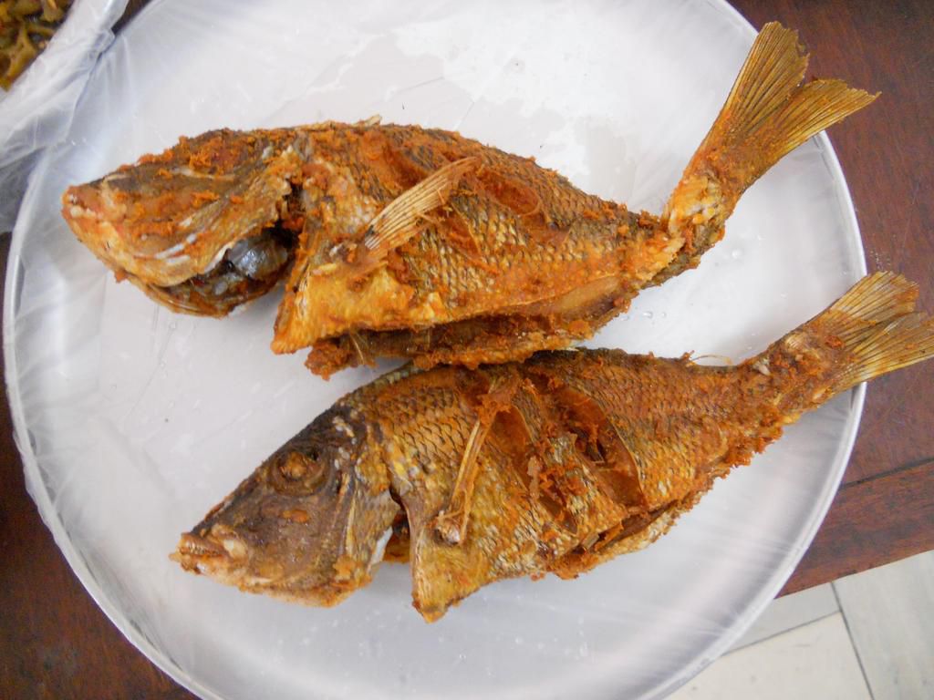 Fried fish(courtesy)