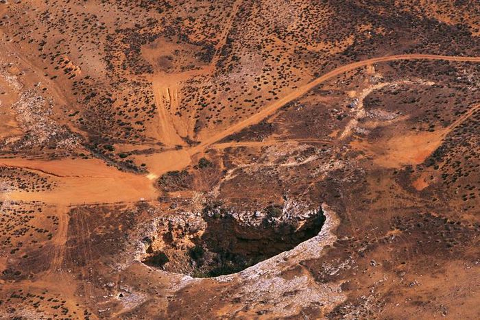 Dr. Pimple Popper Just Shared A Skin Cancer Pic