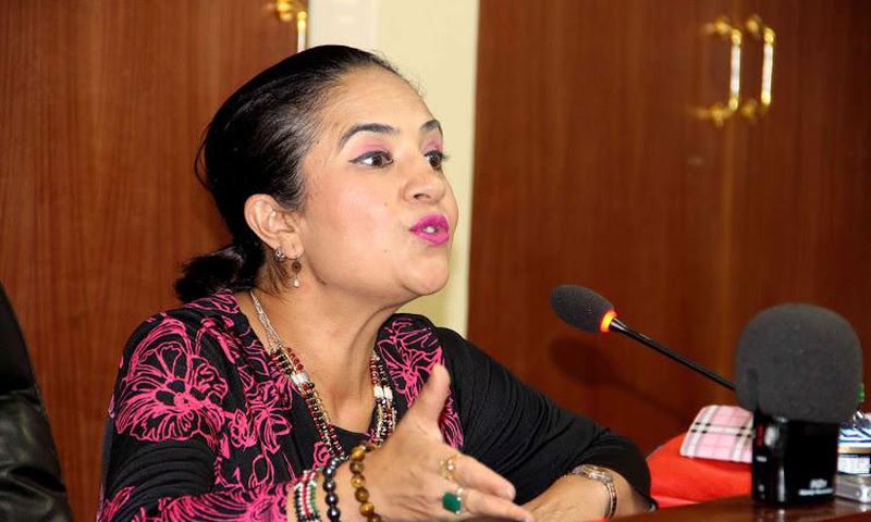 Sonia Birdi, Governor Mike Sonko nominated her for the Environment CEC docket in his cabinet (Twitter)
