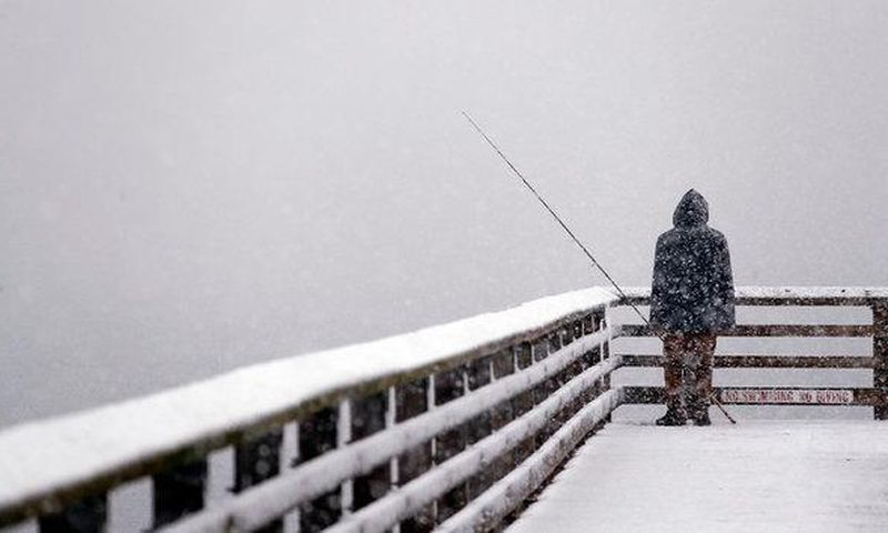 Rare series of snowstorms bears down on seattle area