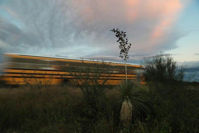 At least five children have been killed in a US school bus accident in Tennessee