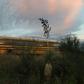 At least five children have been killed in a US school bus accident in Tennessee