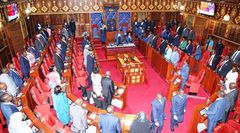 Senate of Kenya