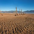 Drought has left Theewaterskloof Dam, some 100 kms from Cape Town, at less than 20 percent of water capacity
