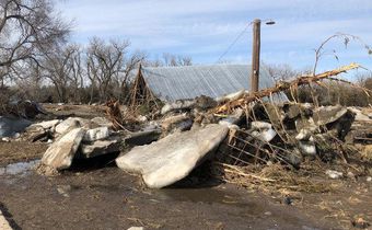 'It's probably over for us': Record floods bring new toll when farmers can least afford it