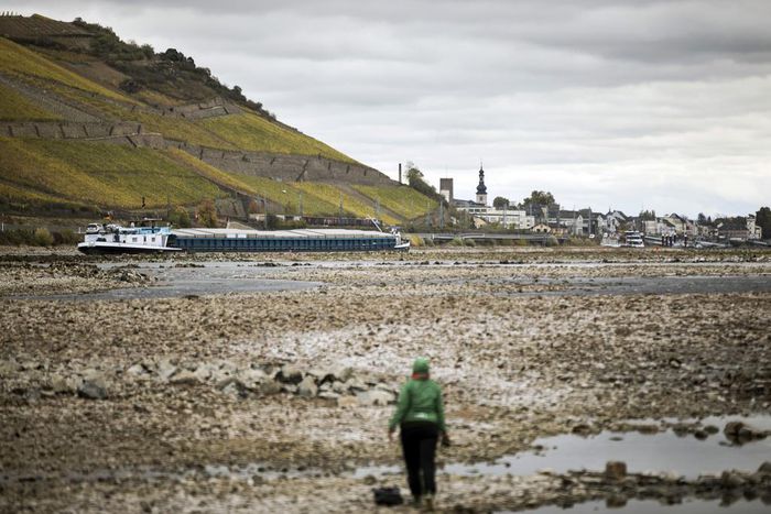 It's Official: 2018 Was the Fourth-Warmest Year on Record