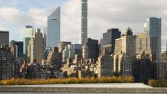 How Dangerous Is It to Be a Bird in Your City? Buildings Kill Hundreds of Millions a Year