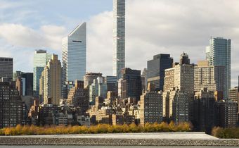 How Dangerous Is It to Be a Bird in Your City? Buildings Kill Hundreds of Millions a Year