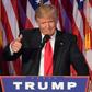 Republican presidential elect Donald Trump stunned the world on November 9, 2016 as he rode a wave of populist resentment to defeat Hillary Clinton in the race to become the 45th president of the United States