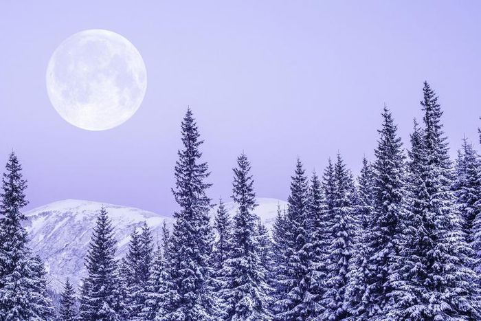 What The Super Snow Moon Means For Your Sign