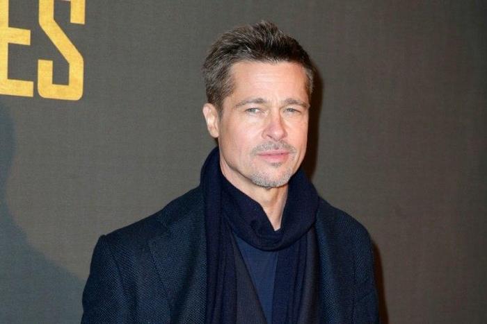 US actor Brad Pitt is seeking joint legal and physical custody of his six children after his wife Angelina Jolie filed for divorce citing irreconcilable differences