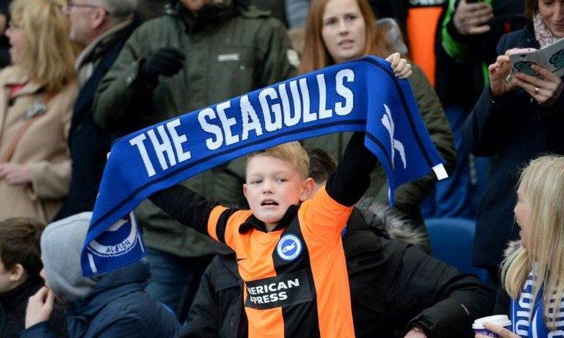 Brighton have spent 34 years outside the top flight of English football since they were relegated from the old First Division in 1983