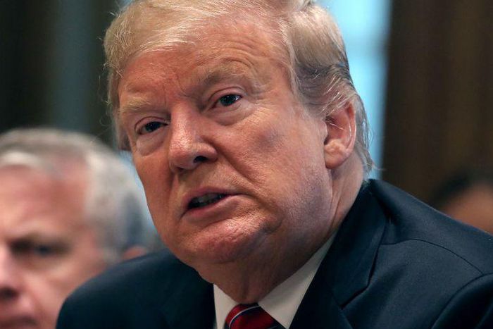 President Trump Is Officially Obese