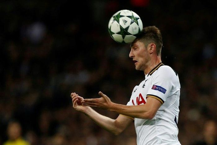 Ben Davies joined Tottenham from Swansea in July 2014 and has made 43 league appearances for Mauricio Pochettino's side
