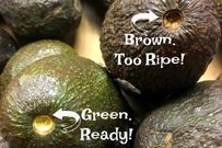 Choosing best avocado(creativehealthyfamily)