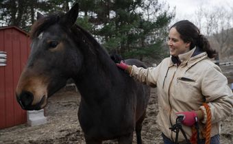 Want to Adopt a Wild Horse? The Government Will Pay You $1,000