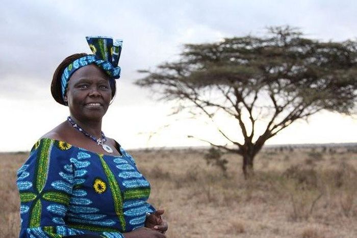 The late Professor Wangari Maathai, Nobel Laureate. Nakuru county will erect a statue at Nyayo Gardens in her honour