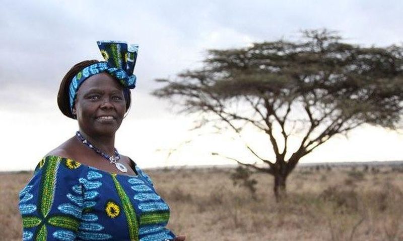 The late Professor Wangari Maathai, Nobel Laureate. Nakuru county will erect a statue at Nyayo Gardens in her honour