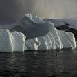 The polar regions are by far the most impacted by climate change