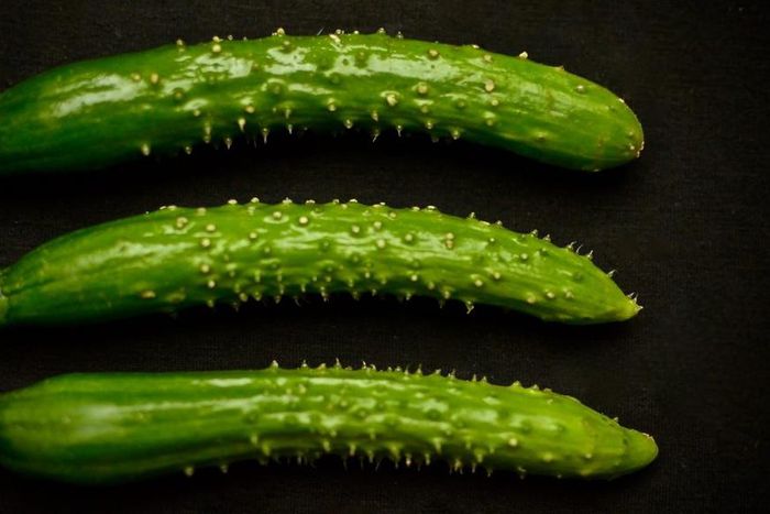 Penis rash(kikusumimagazine)