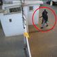 Man hunt for foreigner captured on video threatening to shoot security guard