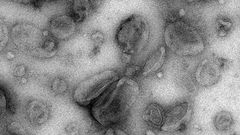Cancer's Trick for Dodging the Immune System