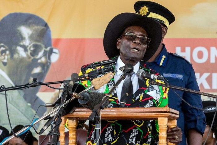 The health of Zimbabwean President Robert Mugabe, seen here at his 93rd birthday celebrations in February, has been the subject of increased speculation with two journalists arrested in March over a report alleging he was "in bad shape"