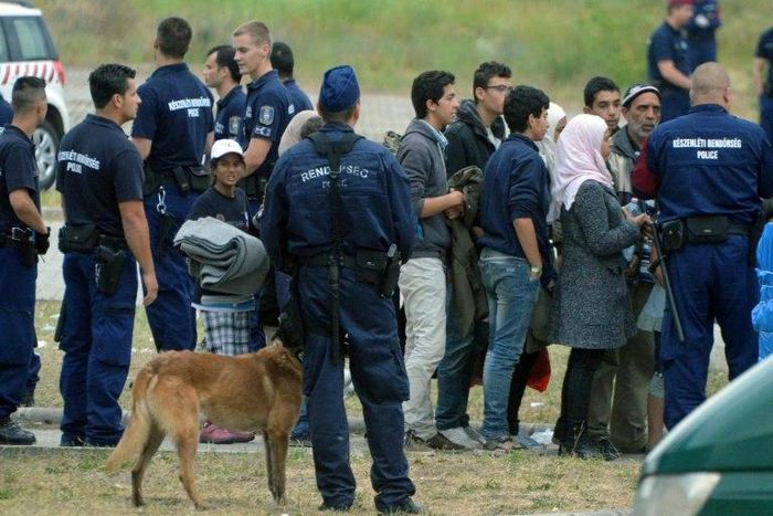 Asylum-seekers wait to board a bus at their temporary Hungarian home of Roszke on the Hungarian-Serbian border in June 2015