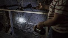 Fossils Are Filling Out the Human Family Tree