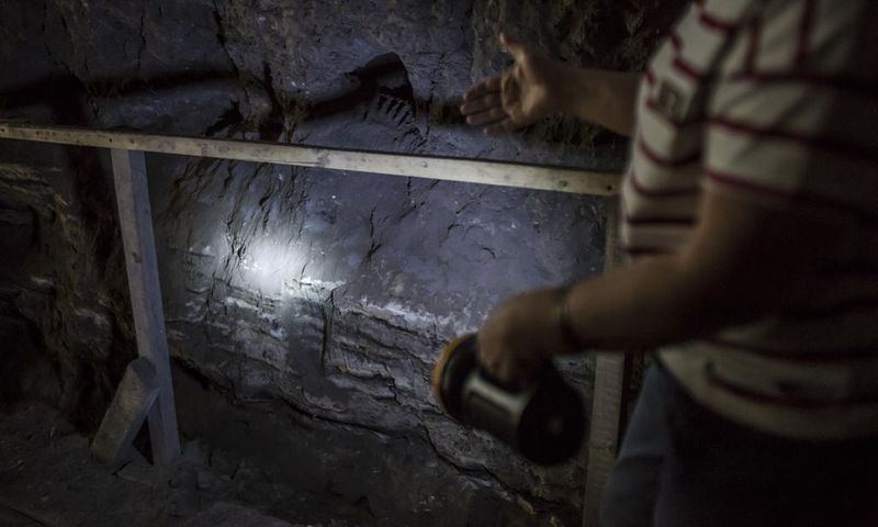 Fossils Are Filling Out the Human Family Tree