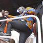 Homa Bay MP Peter Kaluma has been fined Sh100,000 over the violence that erupted in a rally at the Homa Bay Stadium on November 27, 2016.