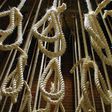 Kuwait has carried out its first executions since mid-2013