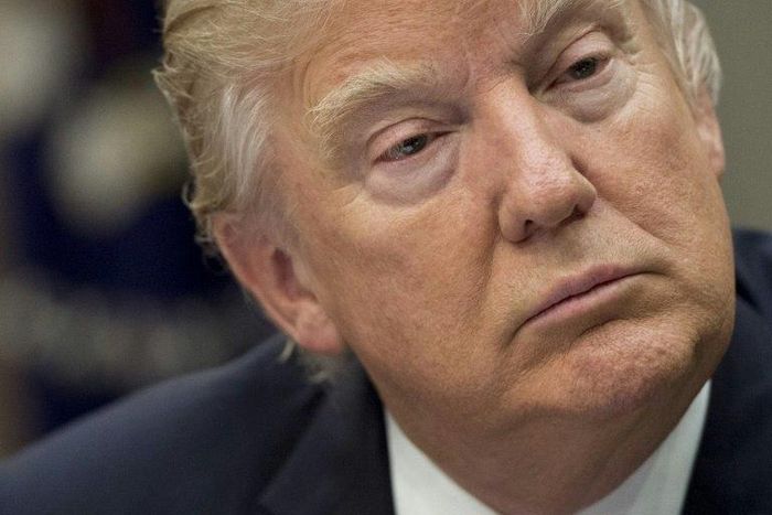 US President Donald Trump faced a spate of sexual misconduct accusations in the weeks leading up to the 2016 election