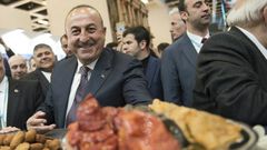 Turkish Foreign Minister Mevlut Cavusoglu is just one of a string of senior officials seeking to win a 'Yes' vote from Turks in Germany in next month's referendum