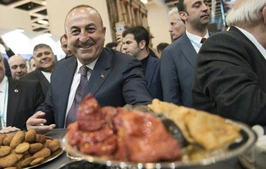 Turkish Foreign Minister Mevlut Cavusoglu is just one of a string of senior officials seeking to win a 'Yes' vote from Turks in Germany in next month's referendum