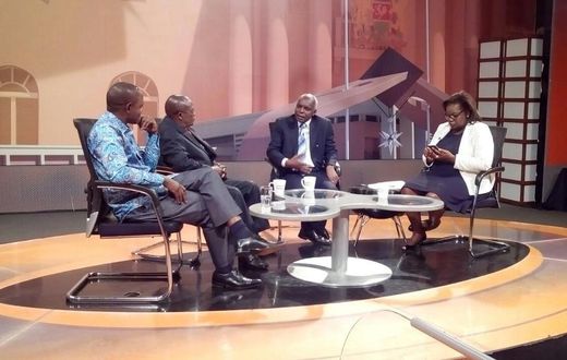 Former Citizen TV journalist appointed to government