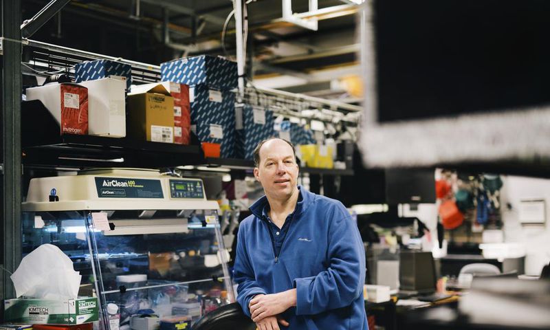 Stanford Clears Professor of Helping With Gene-Edited Babies Experiment