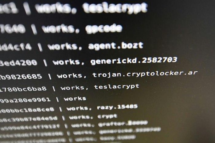 The wave of attacks on May 12, 2007 hit Britain's health service, Russia's interior ministry and French carmaker Renault, along with many other organisations around the world