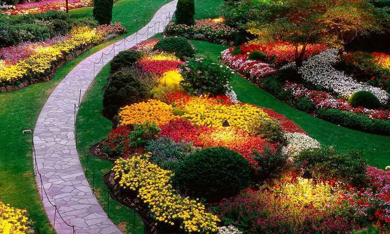 When it comes to gardening, you are limited by nothing but your imagination.