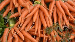 Fresh carrots(ArchDaily)
