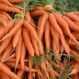 Fresh carrots(ArchDaily)