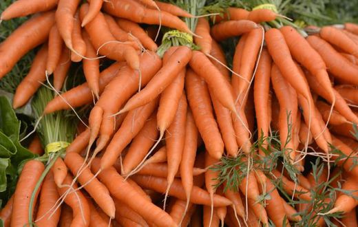 Fresh carrots(ArchDaily)