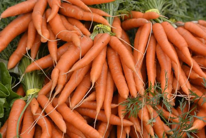 Fresh carrots(ArchDaily)