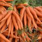 Fresh carrots(ArchDaily)