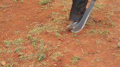 ___6699610___https:______static.pulse.com.gh___webservice___escenic___binary___6699610___2017___5___18___15___panga