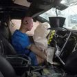 A technology-packed, 180-pound (80 kg) crash test dummy sends a vast array of data from its sensors to show how he fared in the crash